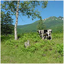 ��ƍ����l�G