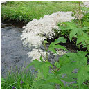 ��ƍ����l�G