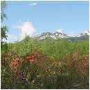 ��ƍ����l�G