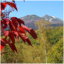 ��ƍ����l�G