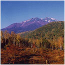 ��ƍ����l�G