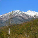 ��ƍ����l�G