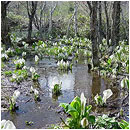 ��ƍ����l�G