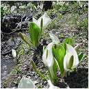 ��ƍ����l�G