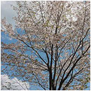 ��ƍ����l�G