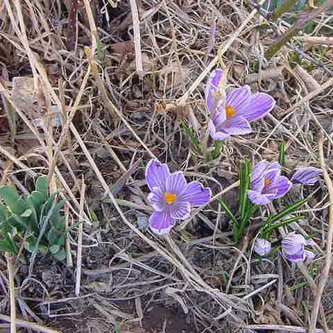 ��ƍ����l�G