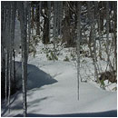 ��ƍ����l�G