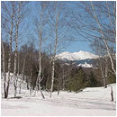 ��ƍ����l�G