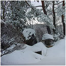 ��ƍ����l�G